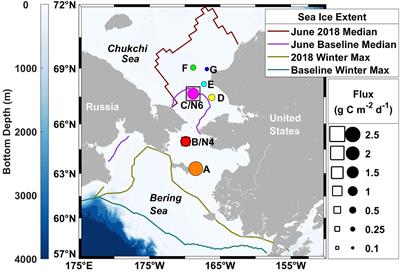 Extraordinary Carbon Fluxes on the Shallow Pacific Arctic Shelf During a Remarkably Warm and Low Sea Ice Period